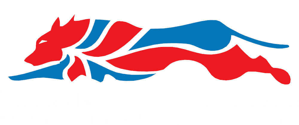 Snopeak's tweet photo. BSSF 2023/24 race dates added to ourEvents Guide - https://t.co/20BfUQGwT2
#BSSF #SDevents #K9sports #sleddogs #huskies #hounds #dryland #canicross #bikejor #scooter #rig #3wheeler #4wheeler #runningdogs #National #Championship #dogs
@CSJDogFood
#SCOTLAND #England #Wales https://t.co/fKKJl9sJyQ