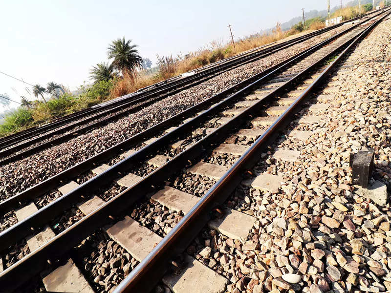 Shift from roads to rail picks up pace, thanks to dedicated freight corridor Shift from roads to rail picks up pace, thanks to dedicated freight corridor

economictimes.indiatimes.com/industry/trans…