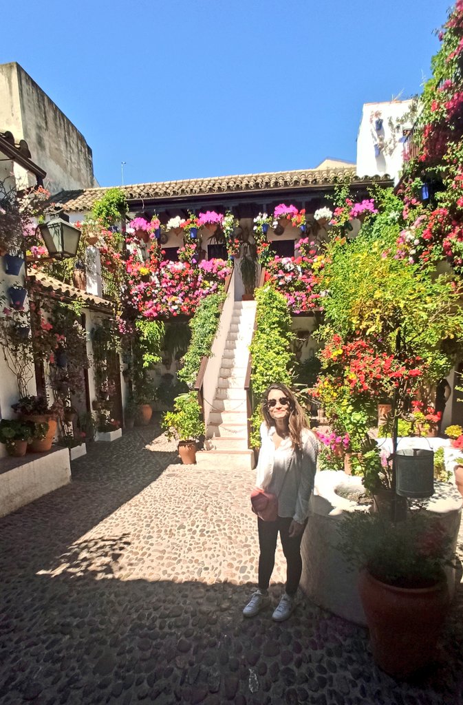 alichulivg's tweet photo. 🌺🌼🪻🌿 https://t.co/N8ln36iXoB