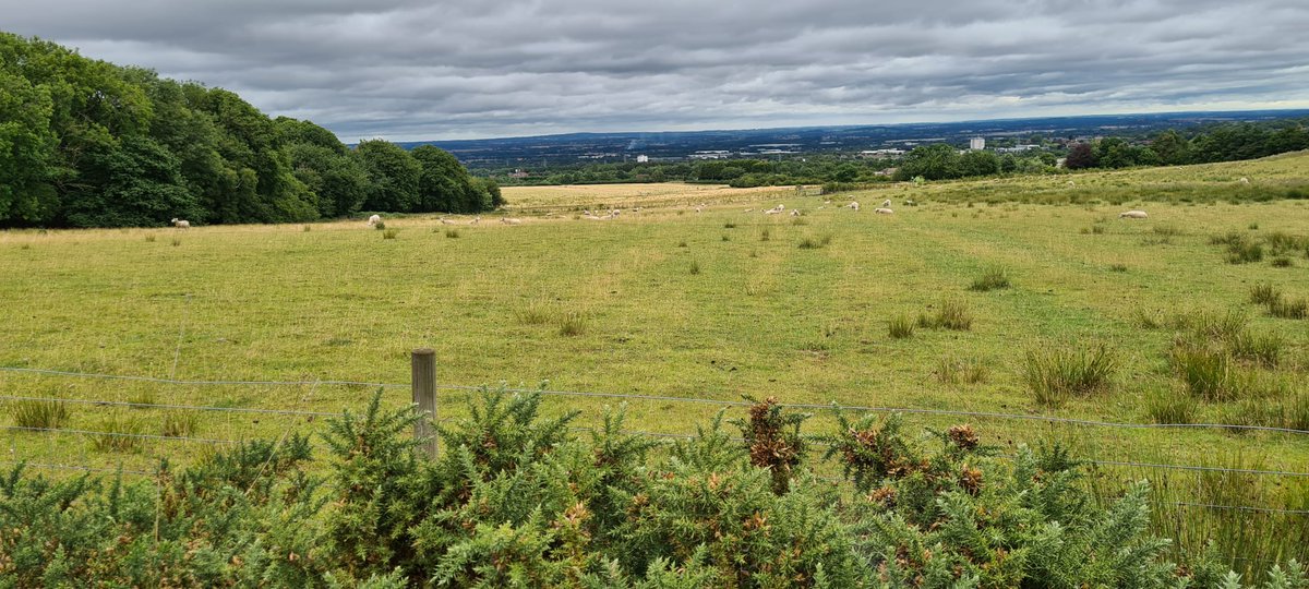 Beautiful open views,next to @ShropHillsAONB in the protected #WrekinStrategiclandscape,  protected under @TelfordWrekin's local plan.
Yet @CommonsLUHC & @Lee4NED has overruled local opinion, local govt & @PINSgov to approve industrial solar here. Sign the petition in pinned post