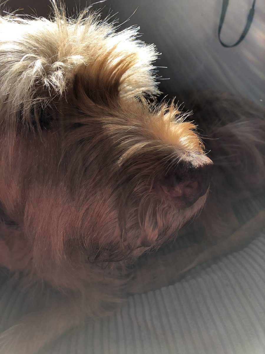 womenandchildrenfirst tweet media