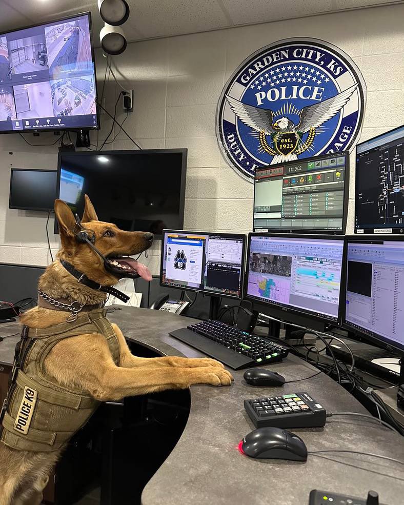 K9s of Valor on Twitter "K9 Kaizen of the Garden City, Kansas Police