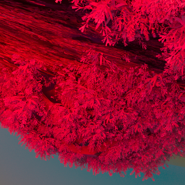 Actarus_Tez's tweet photo. I've been working a lot in my new serie
GARDEN OF HYPNOS
I realized I have only 34 collectors so I will mint very small editions.
#3D #3dgenerative #generativeart #tezos, #TezosNFTs #tezosArts #GlitchMe #3danimation #nature #Hypnos #psychedelicart https://t.co/J2iz7X9GoX
