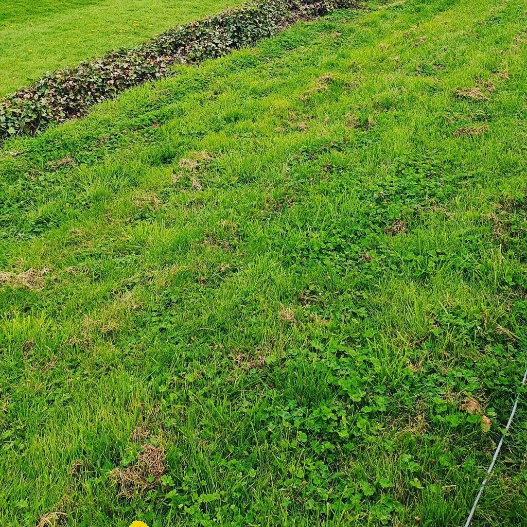 Fantastic weekend at Goodwood for the 80th members meeting