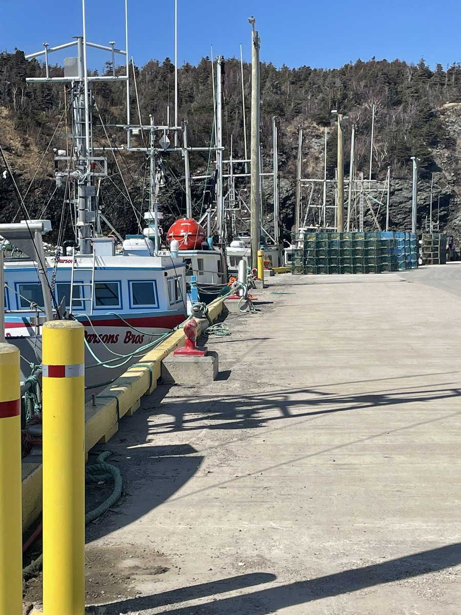 YstoneYstone's tweet photo. Out and about @TroutRiverNL @WoodyPointNFLD #elephanthead #tablelands #saltwaterjoys #lobsterfishery https://t.co/Ig3K21Z0nL