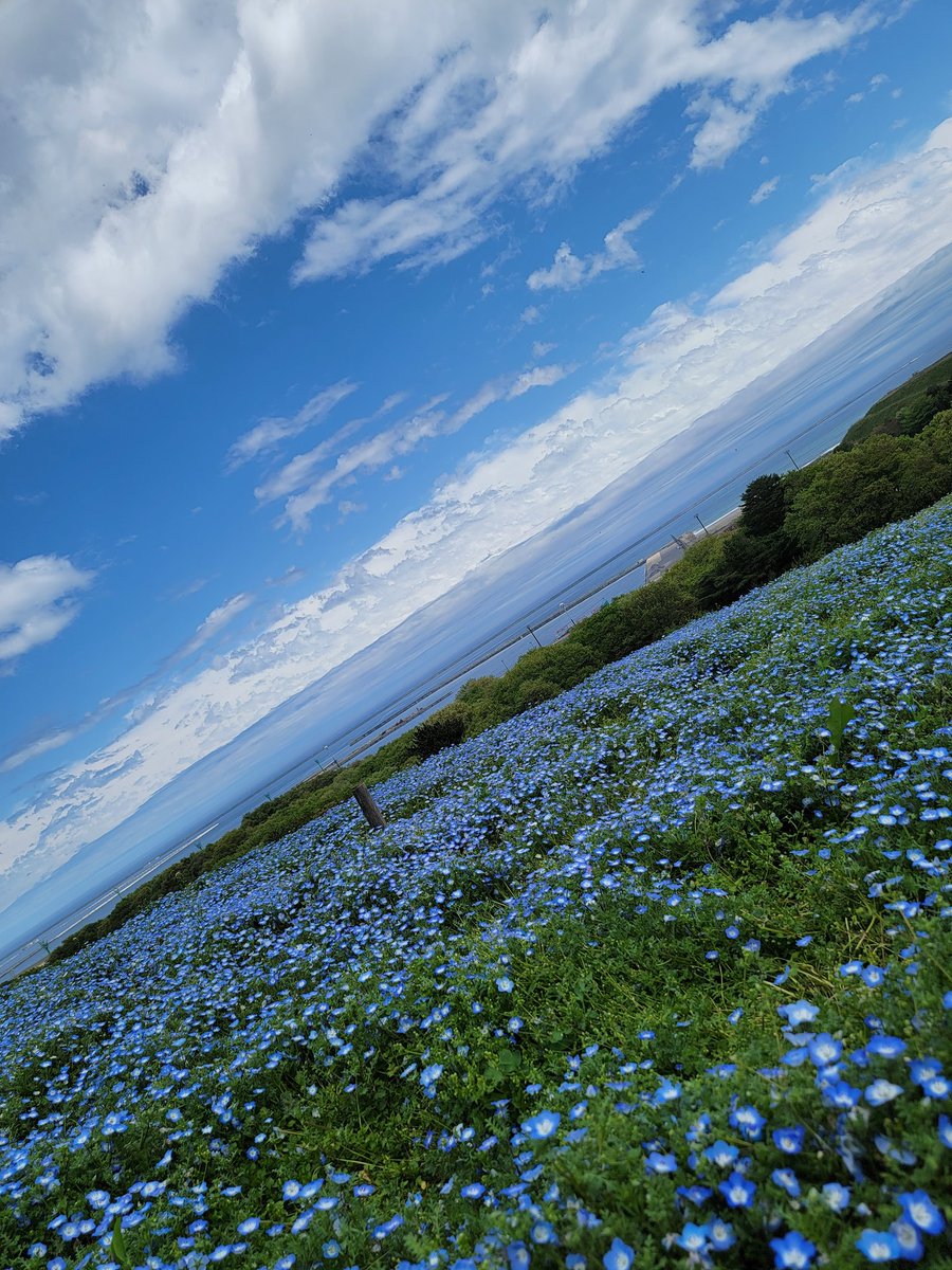 YssuPPrince's tweet photo. 初めまして！やっすーと申します！
2022年末PINARELLO PRINCEを納車して最近ロードバイクを始めた初心者です！
色々な方とお話したり、ゆくゆくは一緒にサイクリングに行きたいです！
現段階の目標はとりあえず100km完走です！
よろしくお願いします！
#ロードバイク初心者 
#ロードバイク https://t.co/jtfM7fTzDl