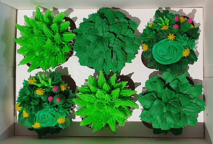 It's my sisters birthday weekend, I made her cupcakes 💜  New OF stuff as of tomorrow x  https://t.co/x6e1sMwzpH