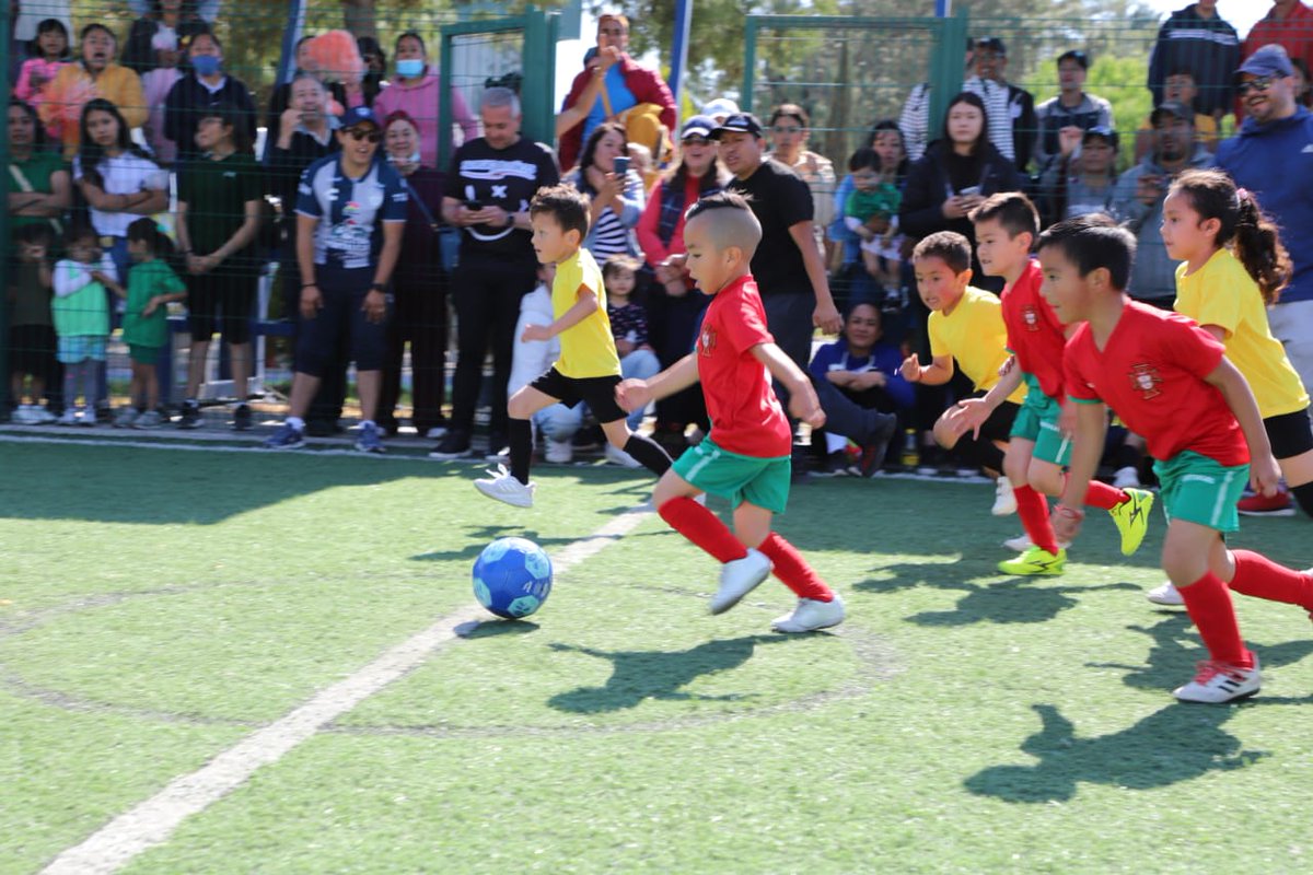 DIF_Pachuca's tweet photo. Realizamos el 1er Mini Torneo de Fútbol ⚽👶🏽de nuestros Centros de Atención Infantil Comunitarios #CAICs, al interior de nuestra Unidad Deportiva Infantil #UNIDIF.
#BárbaraMontaño
#AvanzandoEnFamilia
#DIFPachuca https://t.co/eHkrNNvVhv