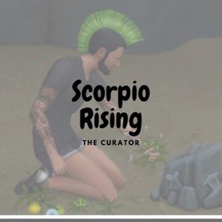 ladybugsimmer tweet picture