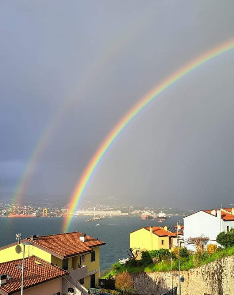 anitsirc_TS's tweet photo. Trieste & Arcobaleni 🌈
#arcobaleni #arcobaleno #trieste #rain #rainbow
Buona serata 💜 https://t.co/wC10jNqRbf