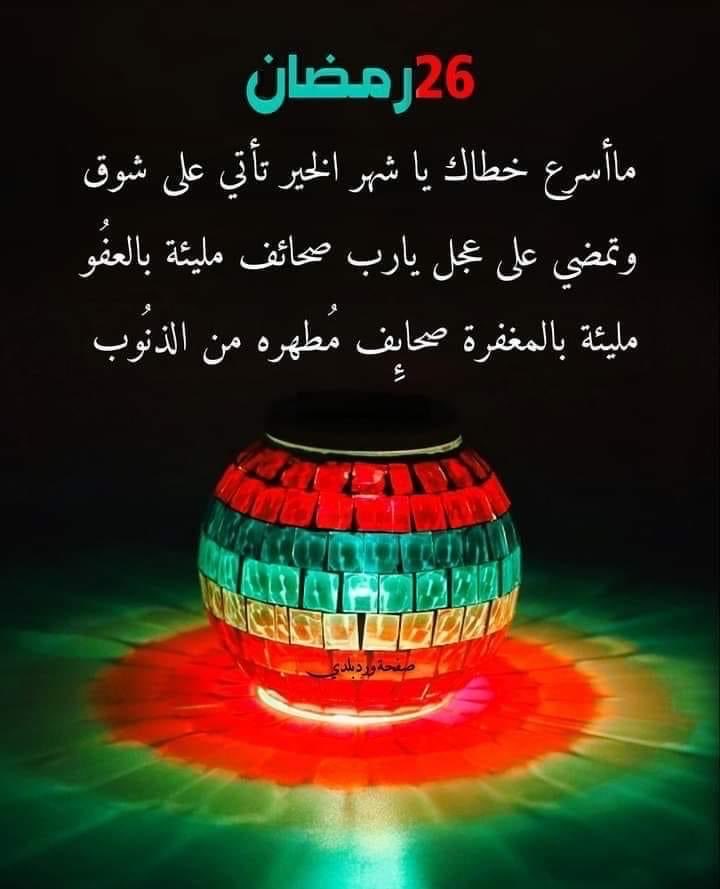 hesham sakr tweet media