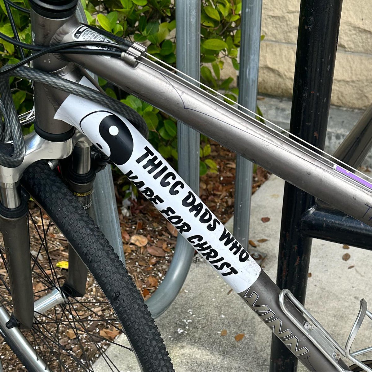 Saw this as I was walking into my local Trader Joe’s.  NGL, there’s a lot going on with this….