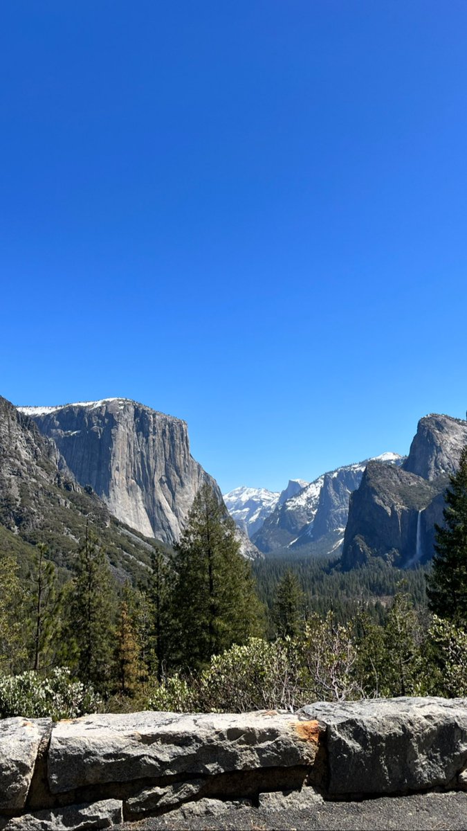 nikikalergis's tweet photo. The Yosemite view never gets old! https://t.co/BxsfgtjhTh