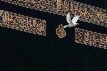 Bin aydan daha hayırlı olan Kadir Gecesi'ne ulaştıran Rabbimize hamdolsun. Geceniz mübarek olsun.
#KadirGecesi