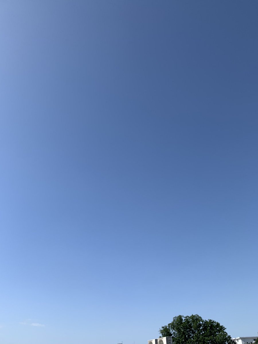 nock_app's tweet photo. •ᴗ•)وﾞ㌧㌧　 

                  ／ 　　　　　　
　　　　  
　　　　　おはノック〜！

                 ＼

都内は☀️少し肌寒いですが空気がきれいです✨
今週もどうぞよろしくお願いします！
#企業公式が地元の天気を言い合う 
#企業公式が毎朝地元の天気を言いあう
#イマソラ https://t.co/Ba2ZLJ8ibF