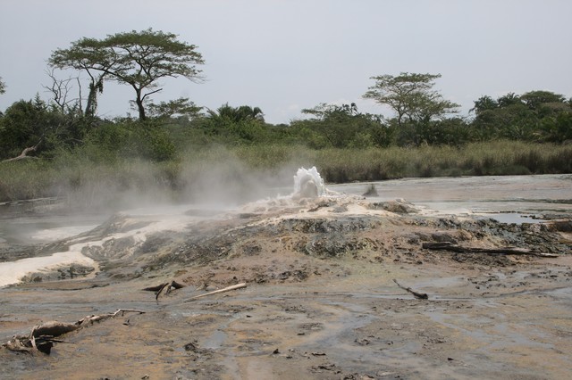 DaymanFrancoise's tweet image. ♠ugandasafariadventure.com/be-pin-posts/
♠ugandasafariadventure.com/contact/
☼ugandasafariadventure.com/blog/ 
#AdventureOn #TravelTheWorld #MyTravelStory #Rwenzori #SeeTheWorld