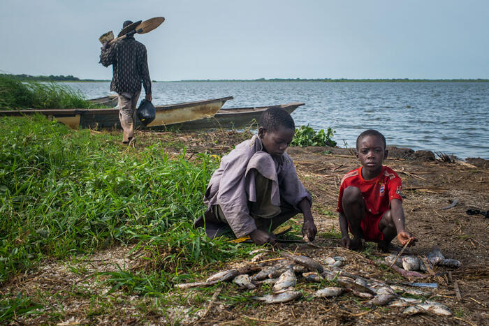 ahametelhrabe's tweet photo. Dans la région de Diffa, le paysage est majestueux,
Leurs coutumes et leur culture sont d'une grande stature.
Les femmes portent des parures colorées et des bijoux,
Les hommes, quant à eux, dirigent les troupeaux de zébus.
La région de Diffa est un trésor du Niger.
#NigerRising https://t.co/OlRyPi71T8