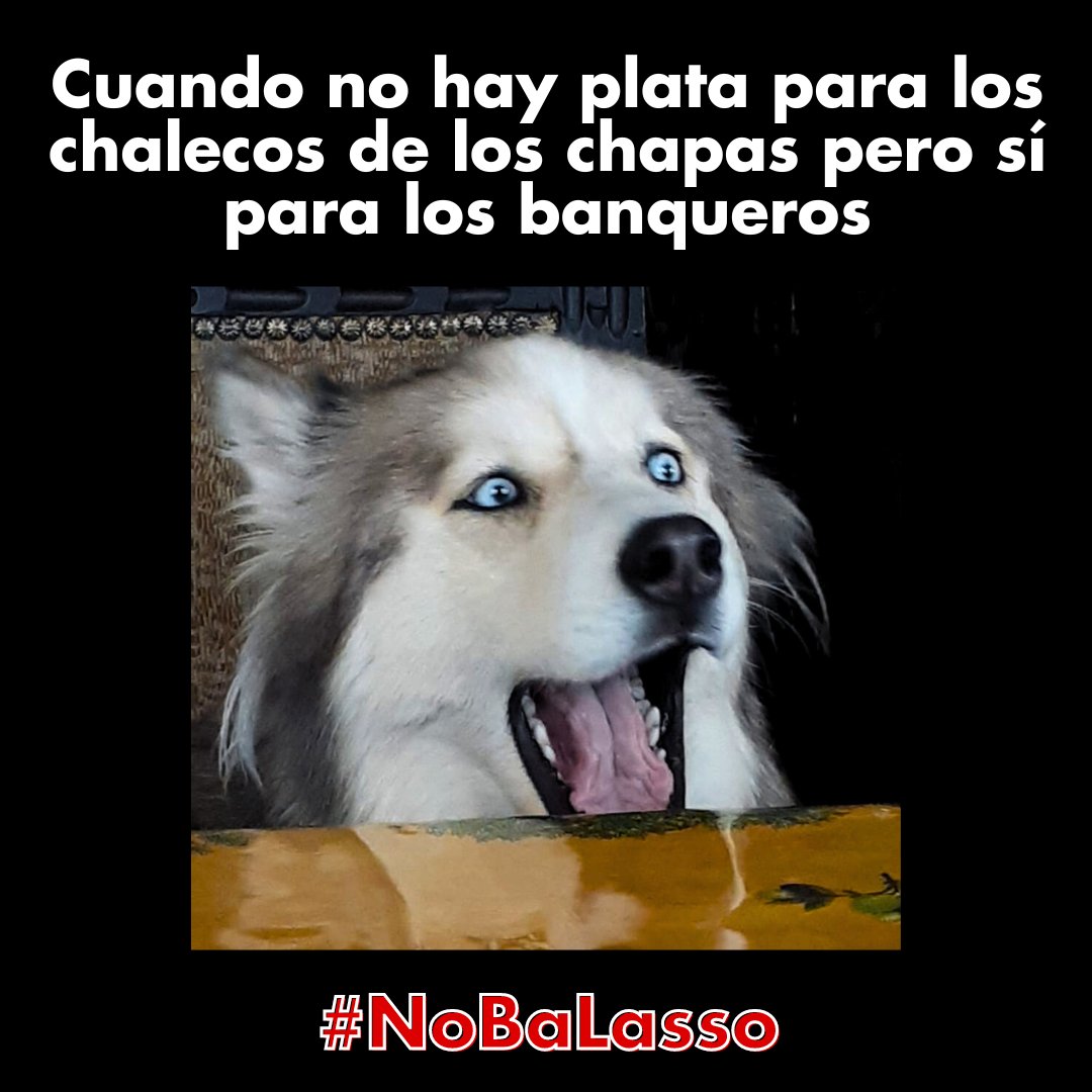 El Colectivo tweet media