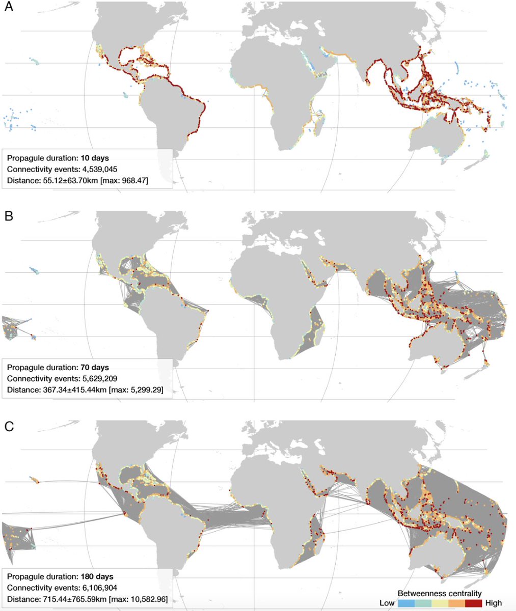Ester Serrao tweet media