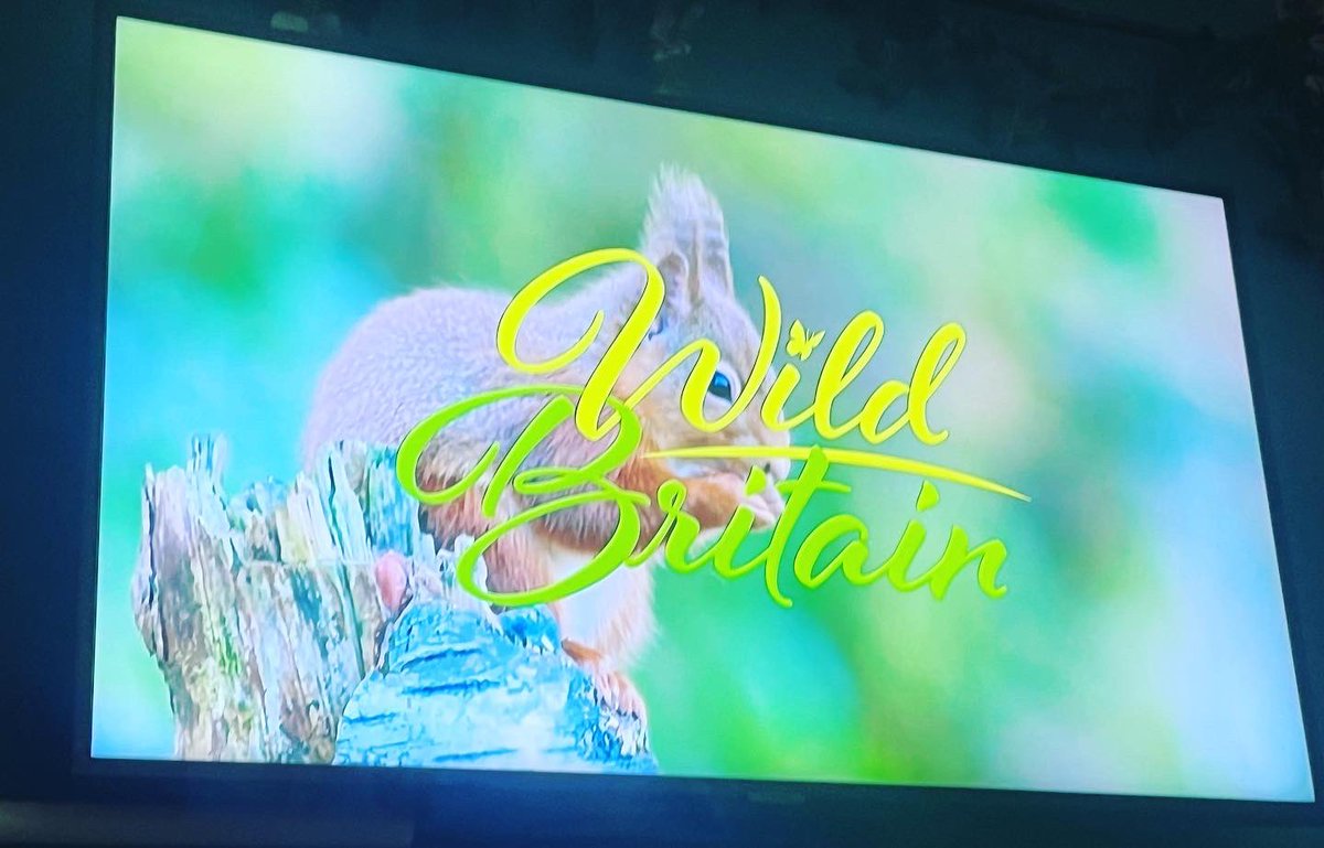 So pleased that our Conservationk9s where featured on this evening @BBCCountryfile on <a href="/BBCOne/">BBC One</a> - wonderful Hettie our#watervoleDetectiondog and Henry our superstar #pinemarten scat detector ! Working hard to help uk wildlife conservation! #WildBritain #countryfile