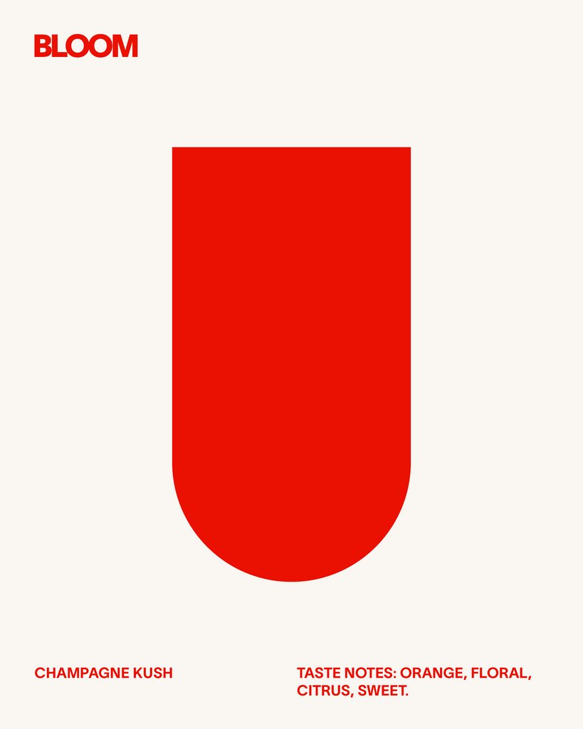 Bloom Brand tweet media