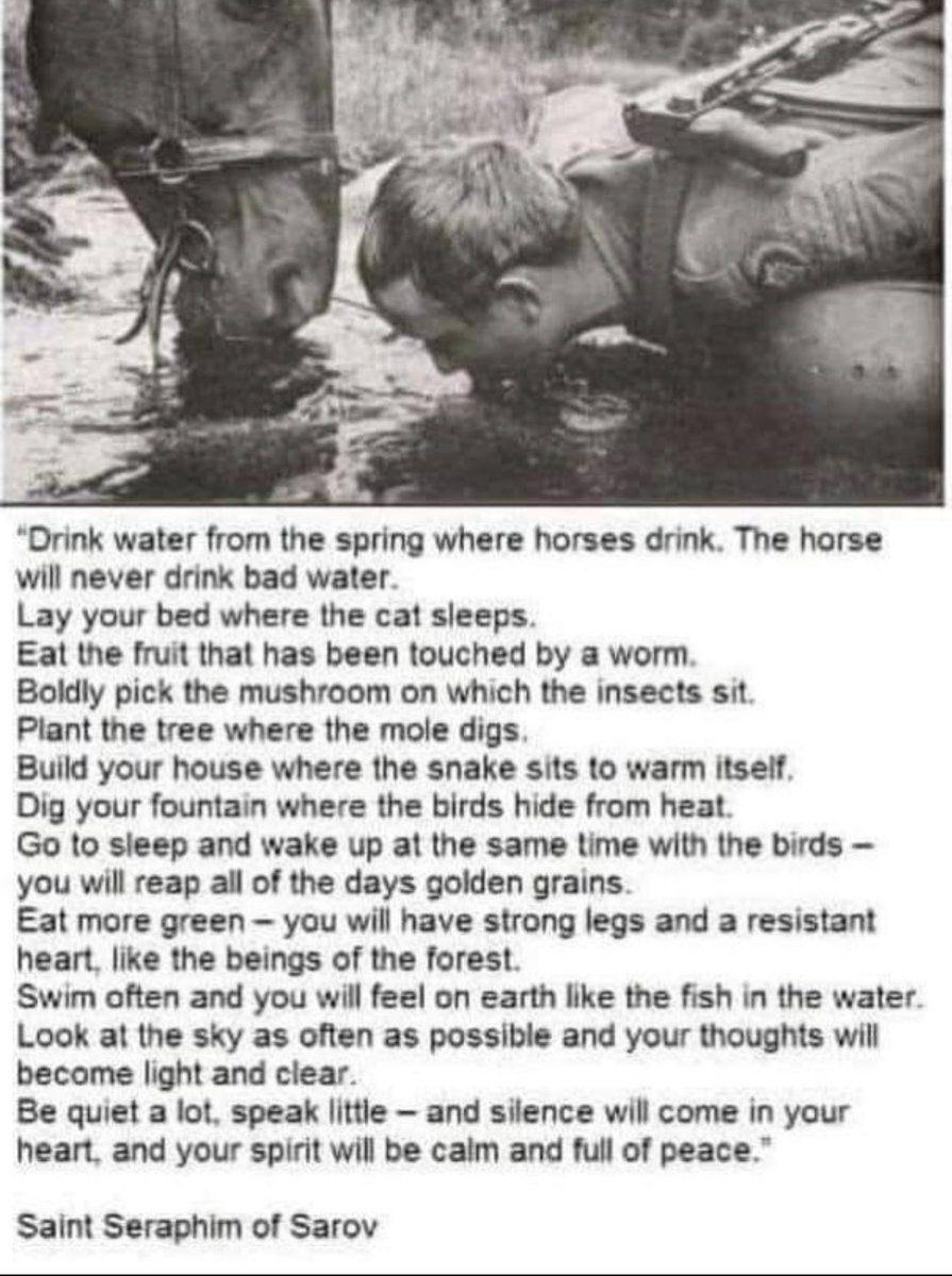 SpicySecretHistory tweet media