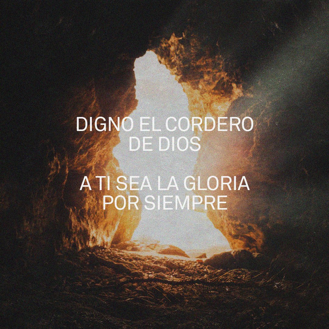 officialnewwine's tweet photo. Digno el Cordero de Dios, a Ti sea la gloria por siempre. #LugarSecreto #HermosoJesús
---
Worthy is the lamb who was slain, unto You be the glory forever. #SecretPlace #BeautifulJesus https://t.co/hEkvfY3o9F