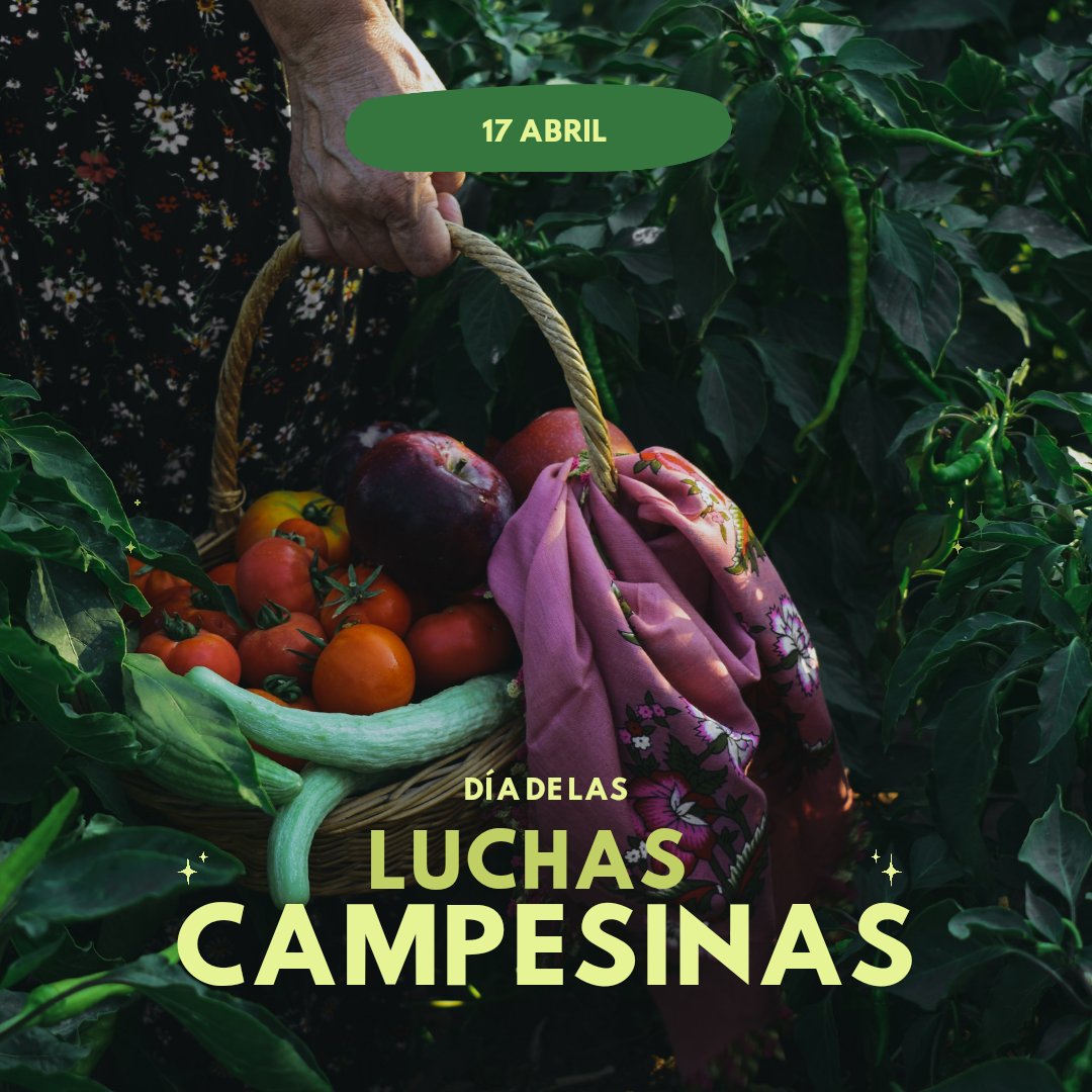 Mañana es el #DíaLuchasCampesinas . El 80% de los alimentos son producidos por campesinos. Recuérdalo cuando hagas la compra y apuesta por canales cortos de compra.