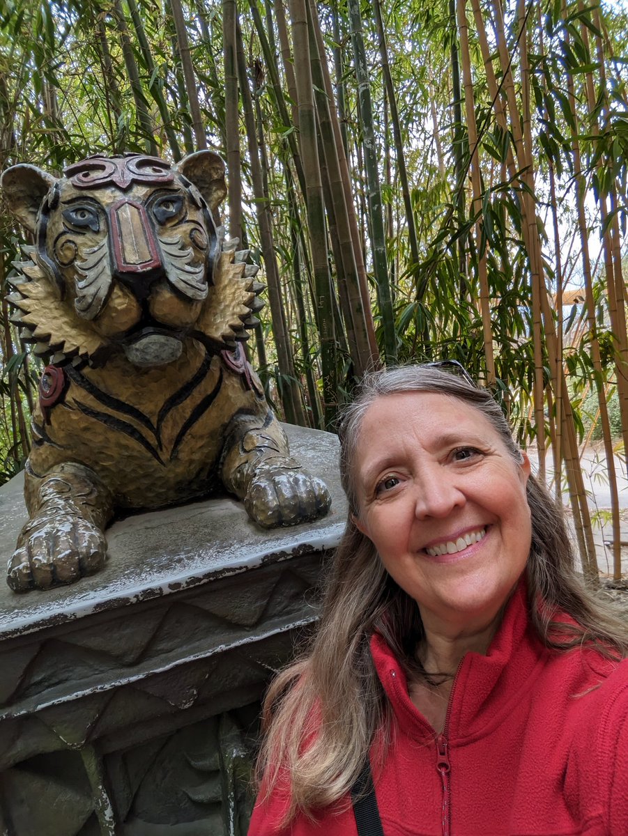 Wild Spirit Traveler tweet media