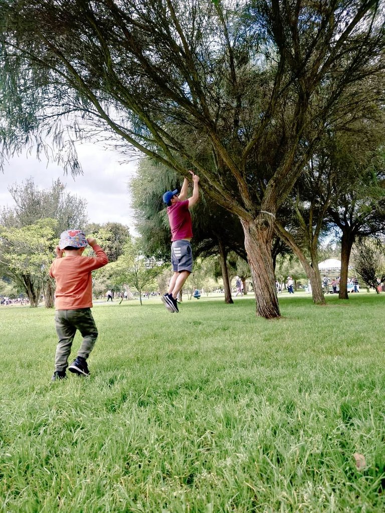EdwinCaleroT's tweet photo. Tarea de hoy: enseñarle el monito a #BabySam 🐒 https://t.co/12p29ESHkF