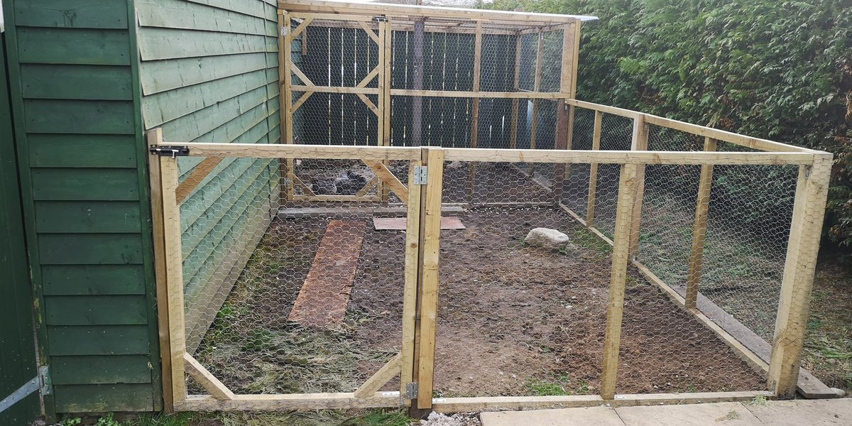 Graduation day for these ladies today 🥰🐔
Finally the inside run is ready for them to stay out overnight......just some finishing touches to be done inside and outside.
#Graduation #Chickens #Hens #ChickenRun #TheGoodLife #OurWeeCottage🏡