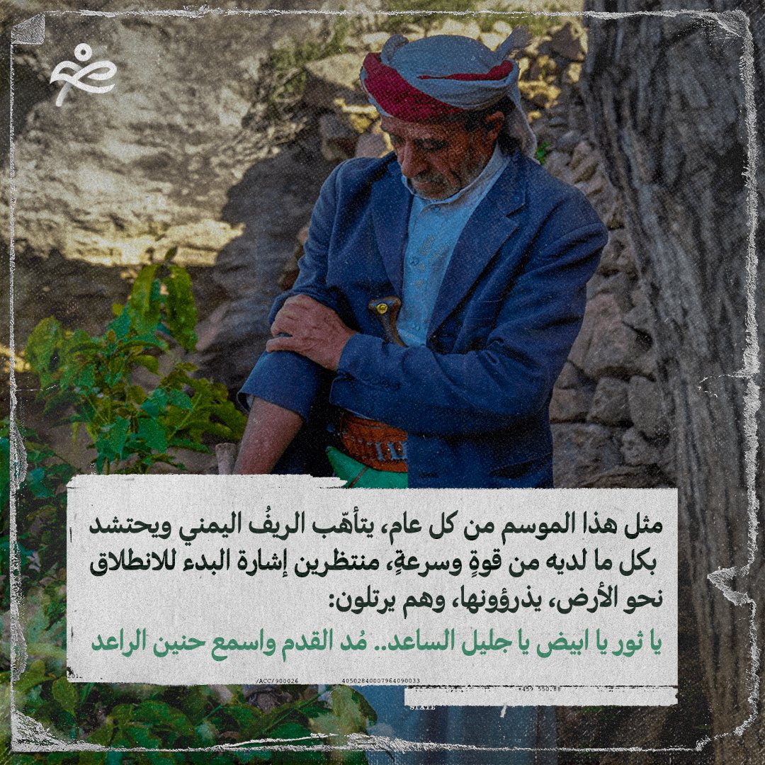 KhuyutAr's tweet photo. يتنوع فنّ الأهازيج الشعبية في #اليمن، بتنوع حياة أهلها. الزراعة ومواسمها ومواقيتها تحظى بأهازيجها الخاصة التي وإن اختلفت بعض كلماتها من منطقة لأخرى، إلا أنها تحمل ذات المدلول؛ ودائماً، يكون نيسان فارقاً بين الخصب والجدب. هكذا تحشد رعود نيسان "الزُّرّاعَ" إلى الحقول. (1-2)
#خيوط https://t.co/phr2AAyQhe