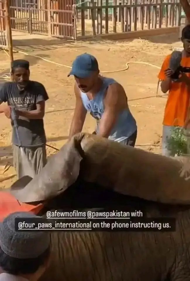 dear <a href="/BhuttoZulfikar/">Zulfikar Ali Bhutto ذوالفقار علي ڀٽو</a> really you are the inspiration and roll model for the youth of pakistan. stay blessed hope noor e jahan recover sooon
#Buhtto