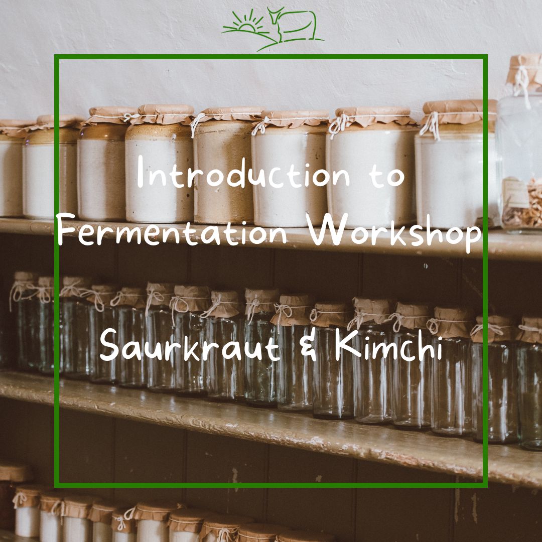 Elle Fox is coming to the farm to run her popular fermentation workshops. On 22 April 2023 - The Introduction to Fermentation Workshop - Making Sauerkraut and Kimchi. You can book tickets through the website link #tablehurstfarm #tablehurstbiodynamicfarm #eastsussex #forestrow