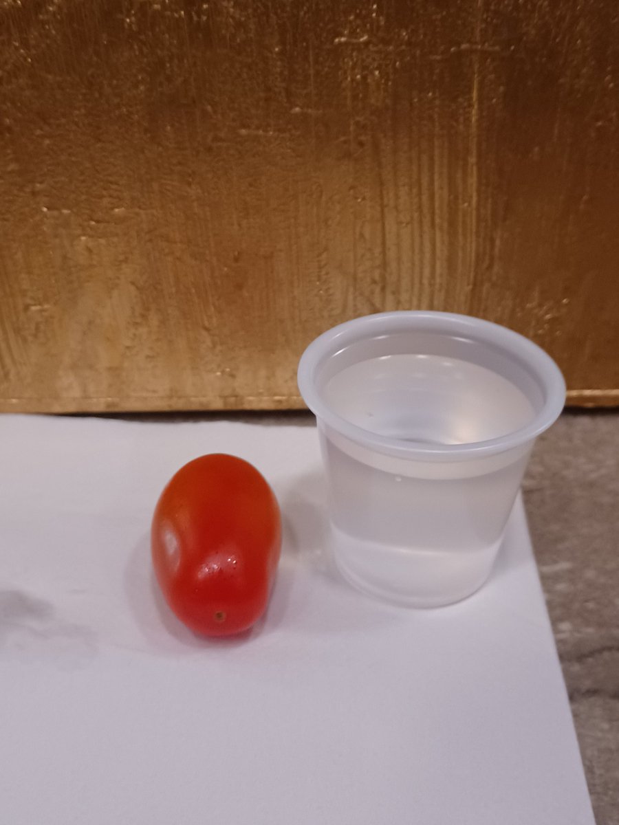 XxDeviStationxX's tweet photo. Deconstructed Bloody Mary, a shot of vodka and cherry tomato. Snack of champions. https://t.co/I8zFOF1smX