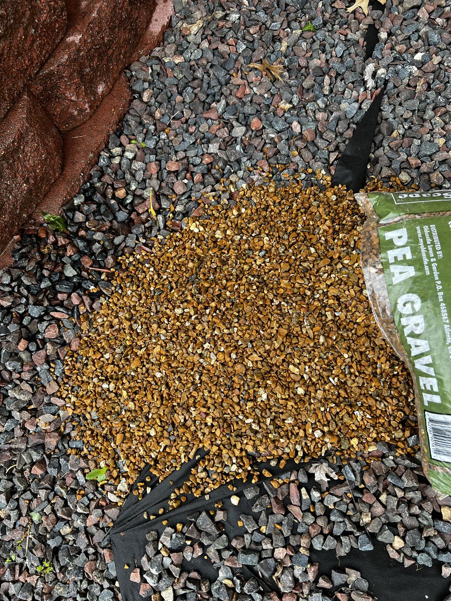 StormDancer on BlueSky tweet media