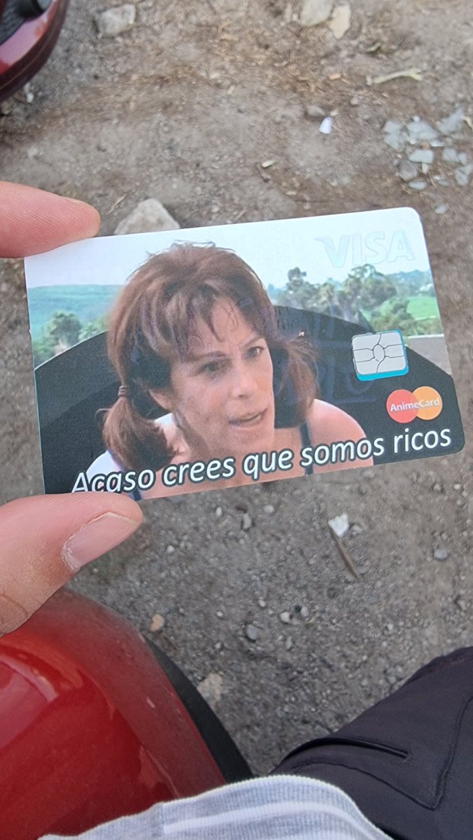 Ramy Malamute tweet media