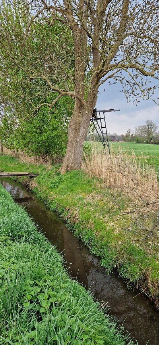 simmajalis's tweet photo. @Wandelbankjes @staatsbosbeheer #wandelroute #rodepaaltjes #hancate #bankjesroute #voorjaar https://t.co/IFAFPUxahX