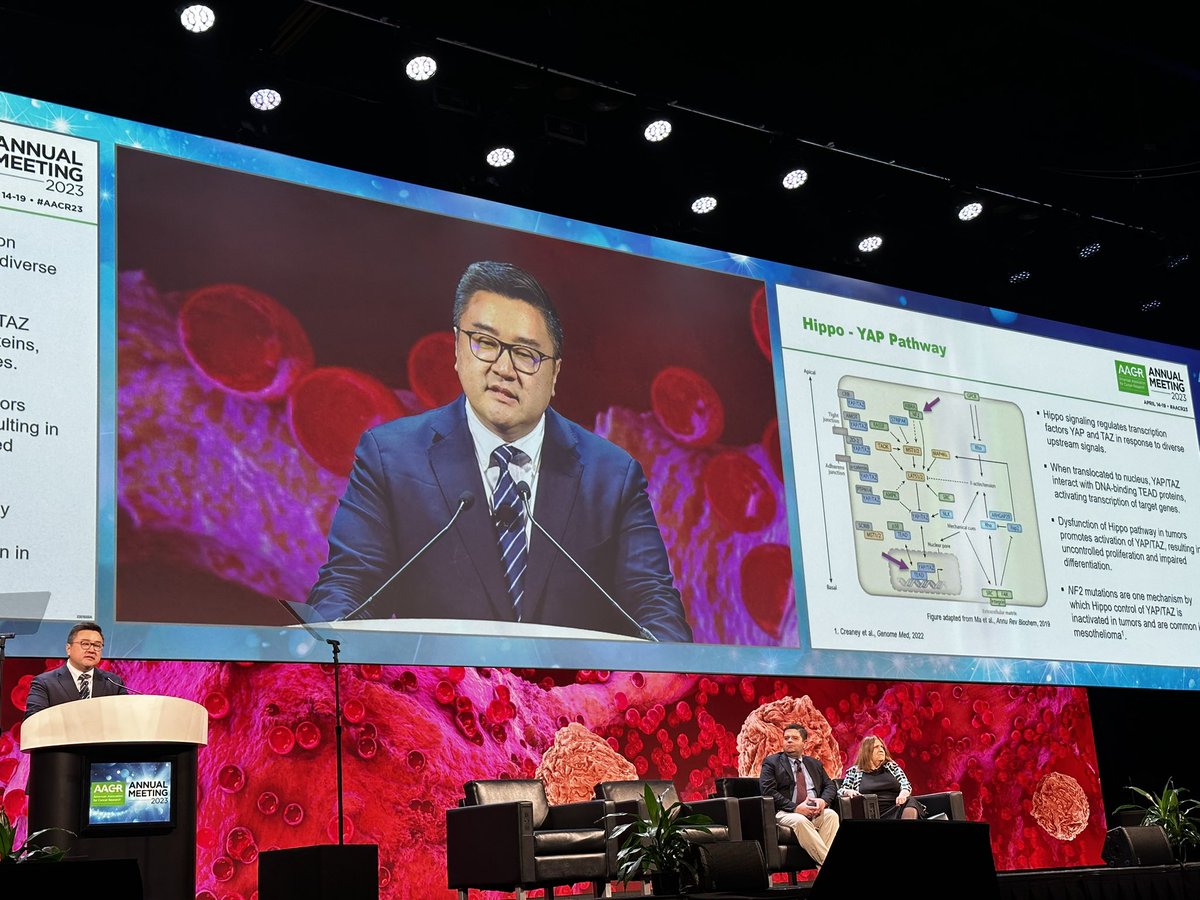 First-in-class YAP/TEAD inhibitor VT3989 was well-tolerated with durable antitumor responses in patients with advanced malignant mesothelioma, other tumors with NF2 mutations, says Dr. Timothy Yap of first clinical proof-of-concept for drugging the Hippo-YAP-TEAD pathway. #AACR23