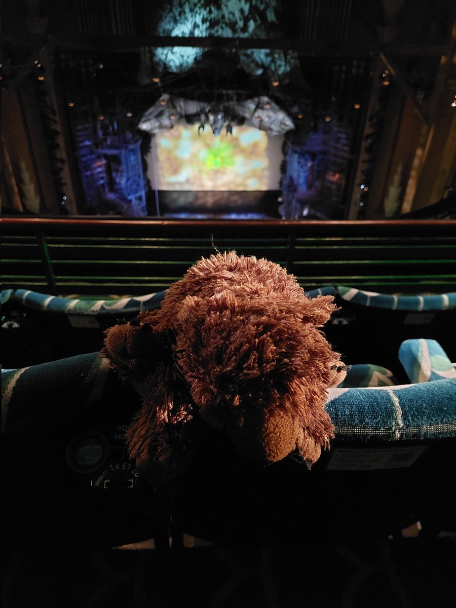 AdventuresOfBear tweet media