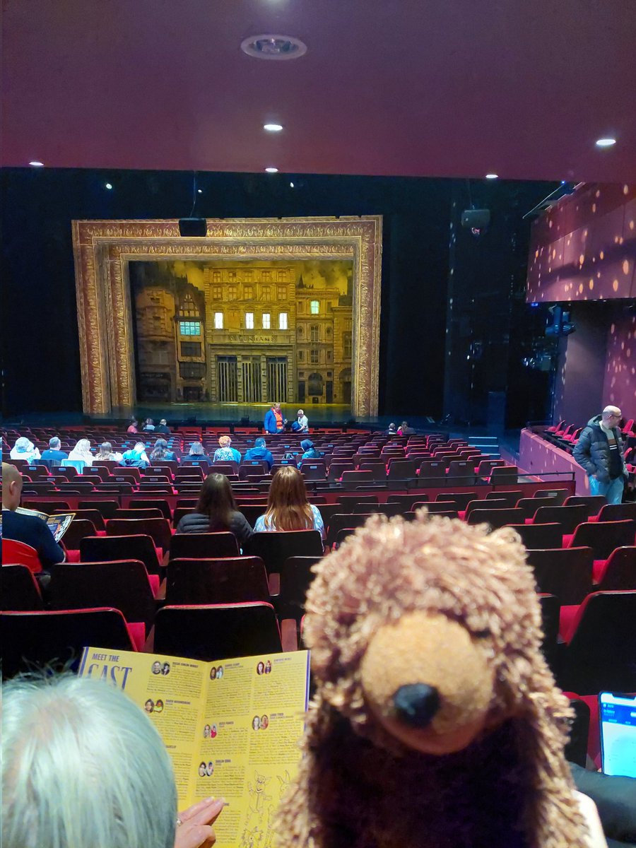 AdventuresOfBear tweet media