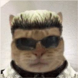 PagChomp420's tweet photo. @WukiWakoto My honest reaction https://t.co/WPbfPrqXOt