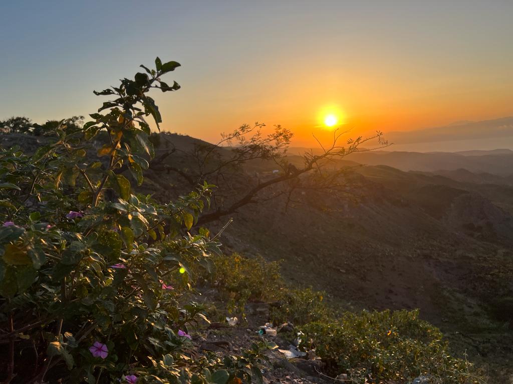 Abdirahman Fiili tweet media