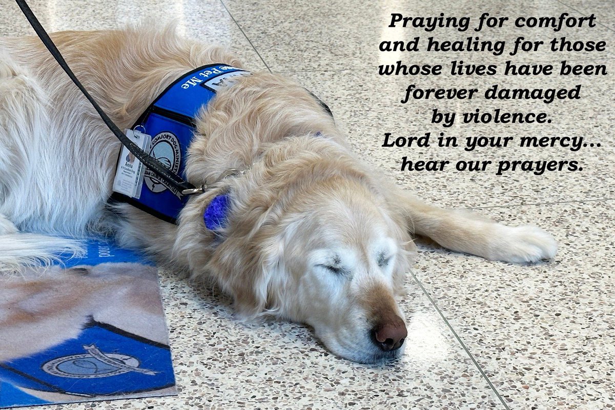 LCCK9Anna's tweet photo. Lifting up in prayer: families who have lost loved ones due to violence, those who have been injured or traumatized, first responders and medical professionals who treat the victims, and communities forever impacted by tragedy. 
✝️🙏🏻 #JesusSaves #Peace @K9ComfortDogs https://t.co/AZNPPi8fQl