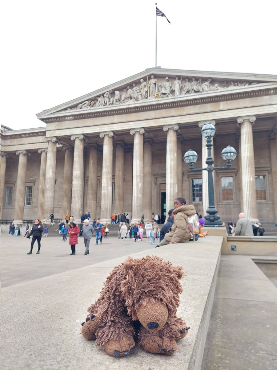 AdventuresOfBear tweet media