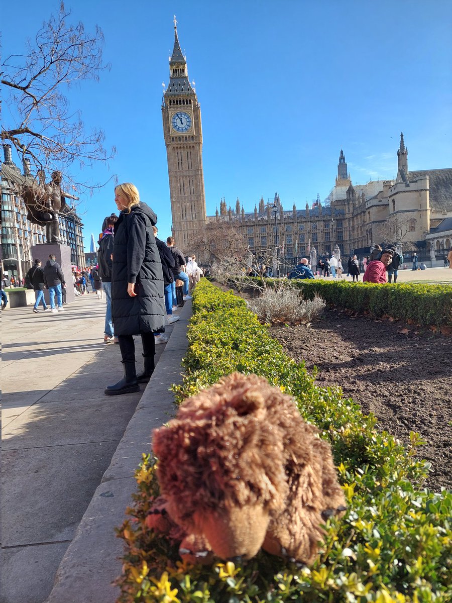 AdventuresOfBear tweet media