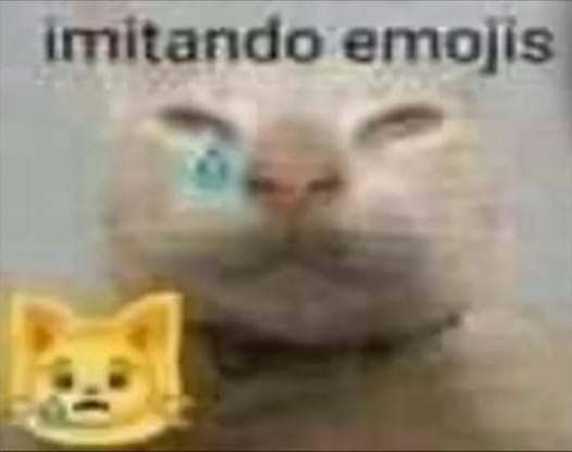 Ashborn727's tweet photo. @Sr_DogShit Juan me provoca un Poco de lastima https://t.co/6aAsGbxlzT