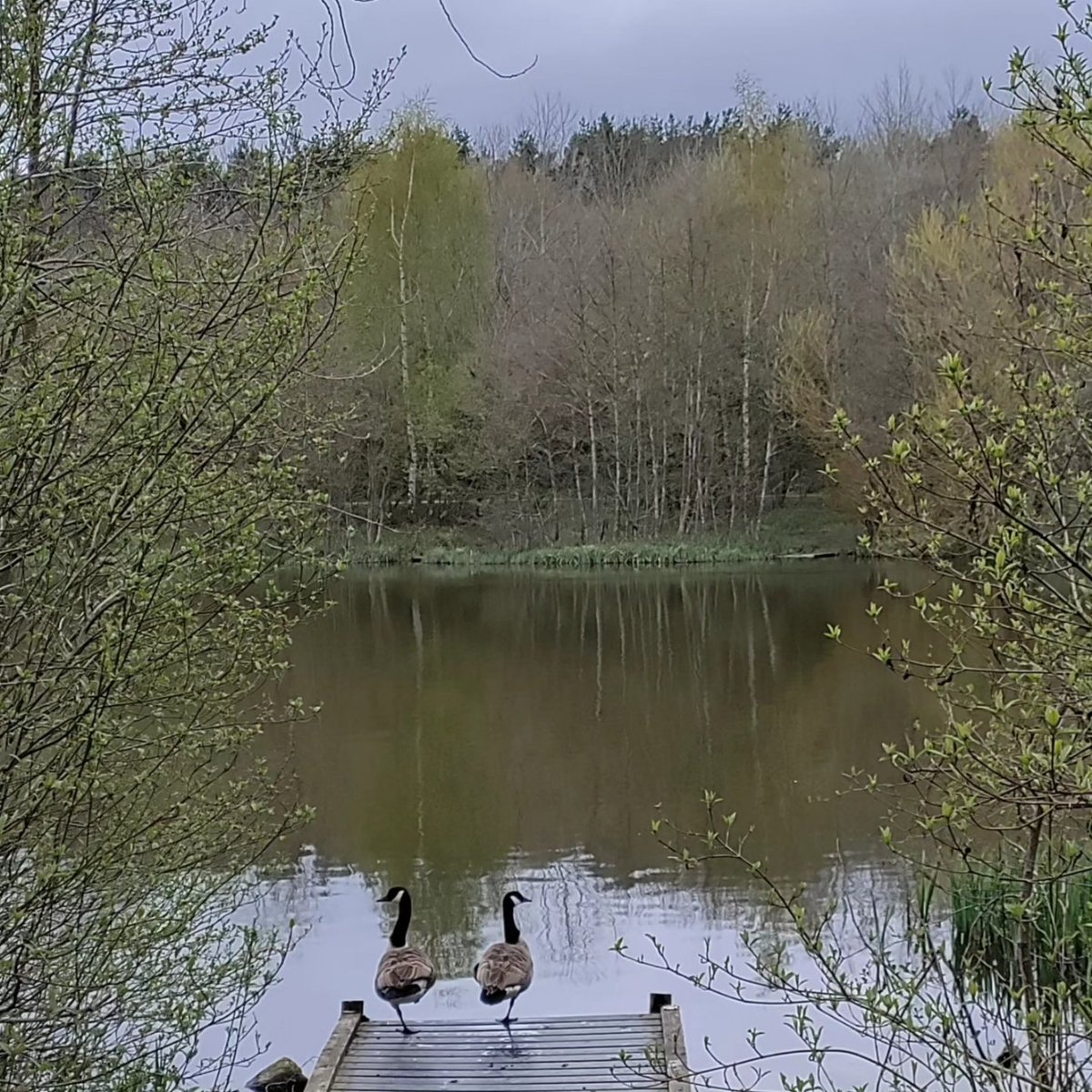 Not quite 10k today but it's 14k steps in the right direction
#outintheopen
#youngminds