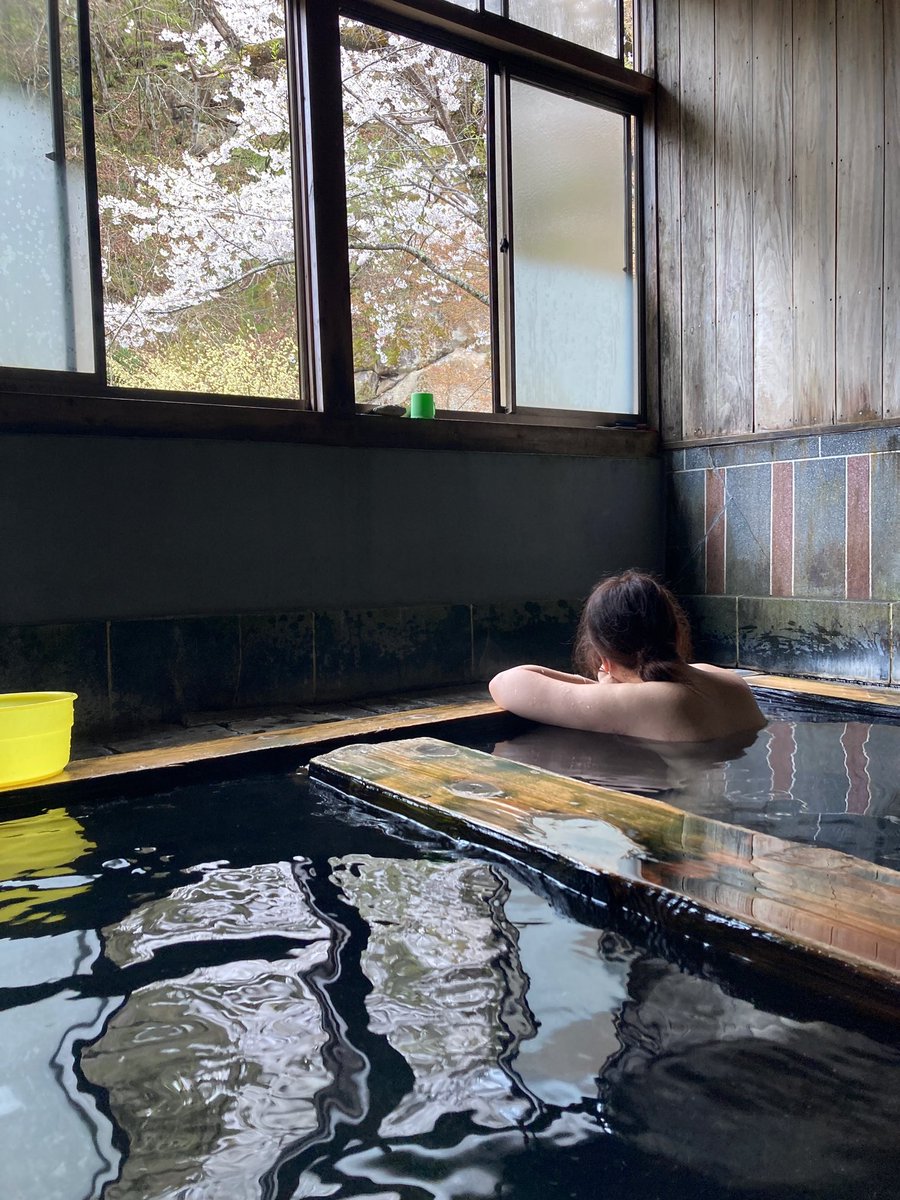 mu_ch2's tweet photo. 満開の桜を眺めながる事が出来る混浴風呂♨️

宿の方が掃除をしていたので、入浴したいと相談すると
『温くても良ければ』と、入浴出来ました。『コロナでずっと休んでました』と。

各地の温泉がこれ以上減っていかない事を願うばかり

#混浴 https://t.co/KFLm3trAN8