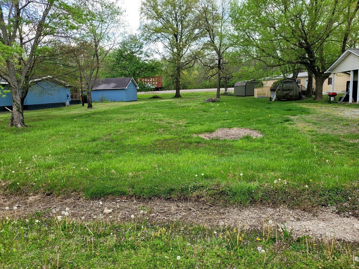 iamrodneysmith's tweet photo. Emily &amp; and her brother John Of Elkton , KY who are taking part in our 50 yard challenge did another lawn ! Great job !! https://t.co/9Z4BdJcjvc